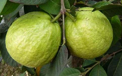 �ļ���ʯ�������600��