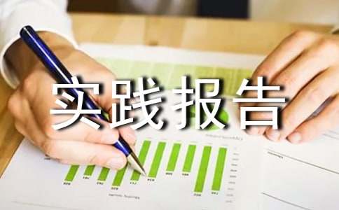 暑期招生社會實踐報告(通用7篇)