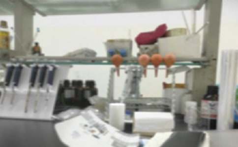 ����Č�������꼉����