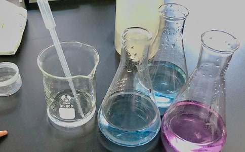 重返實驗室作文1200字