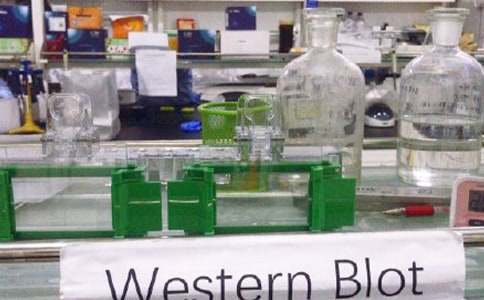 ��У����Ұ�ȫ�z���Բ��淶�ģ�ͨ��10ƪ��