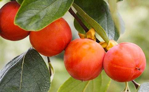 �Ҽҵ����Ә�400�����ģ�ͨ��39ƪ��