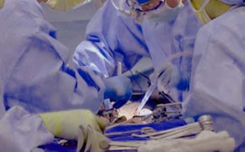 �����T�����g�f�h����ƪ