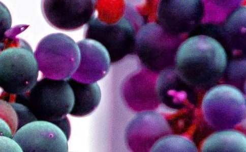 �P���uˮ��������8ƪ