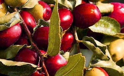 �P�ڽ�Bһ�Nˮ����200�����ģ����x37ƪ��