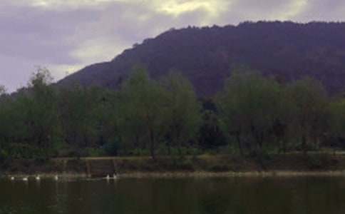 ˮ������600�֣�ͨ��42ƪ��