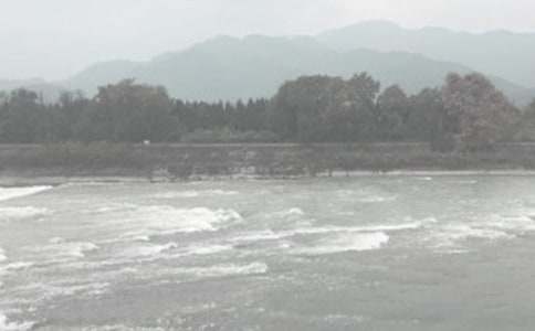 水利工程專業生的實習報告