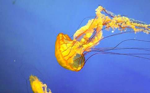 �ҌW���ˮ�ˮĸ����