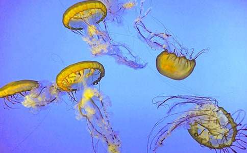 ˮĸ����400�֣����x28ƪ��