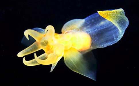 ���xˮĸ����600�֣�ͨ��30ƪ��