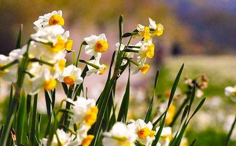 �^��ˮ�ɻ�С�W�����ģ����x12ƪ��