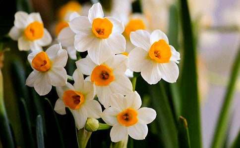 ���]���^��ˮ�ɻ�����