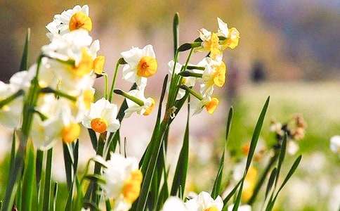 ��ˮ�ɻ������}�ă�������