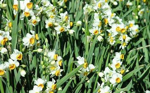 ˮ�ɻ��^����ӛ