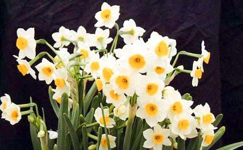 �^��ˮ�ɻ������ļ��\8ƪ