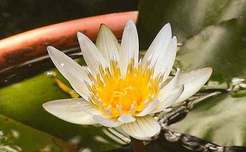 ��ζ��˯ɏ������500��