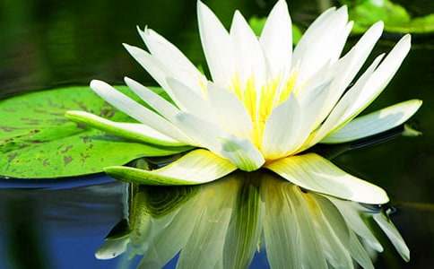 ˯ɏ����600����ƪ