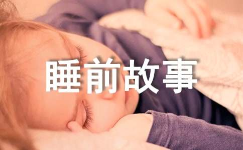 С���~�����TͯԒ����-˯ǰ����