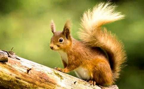 ��22���M�ҁ������󡷵ڶ�����ĥ�̌W�OӋ