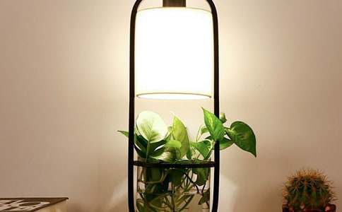 �����]���_������500����ƪ