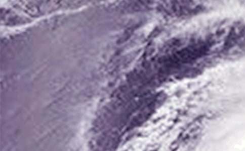 �_�L����600�֣����x20ƪ��