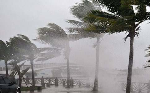 �茑�_�L���u������