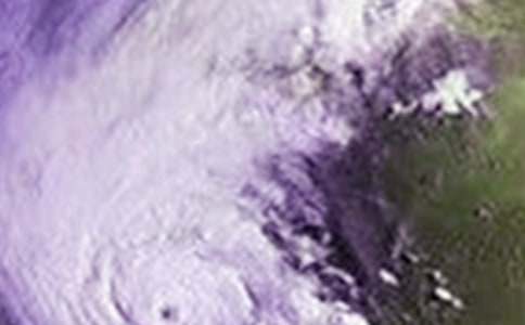 �_�L�����ģ����x38ƪ��