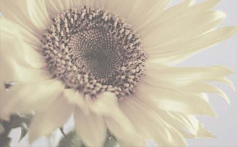 ������̫ꖻ����ģ�ͨ��88ƪ��