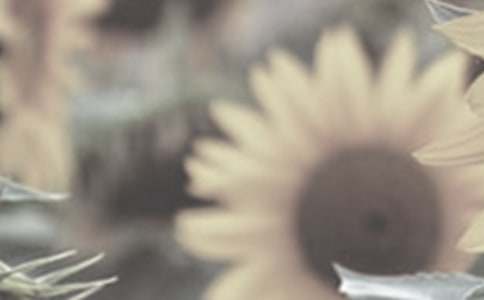 ̫ꖻ���������