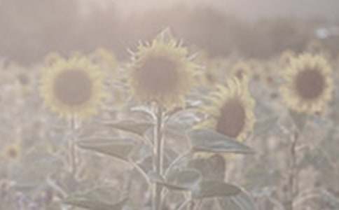 ̫ꖻ��^����ӛ���ģ�ͨ��16ƪ��