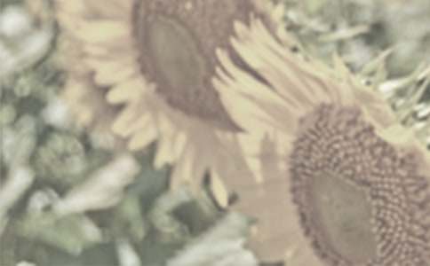 С�W���^��̫ꖻ�200������