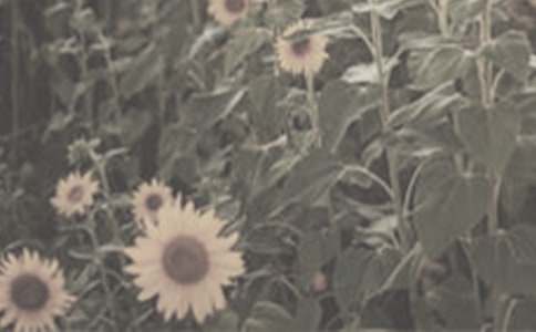 ��̫ꖻ����}������