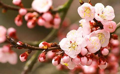 �茑�һ��ɫ���~�Z