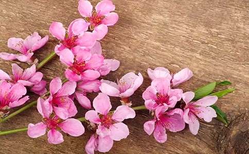 �һ��_�˸ĳɔM�˾��һ�c�����x160�䣩