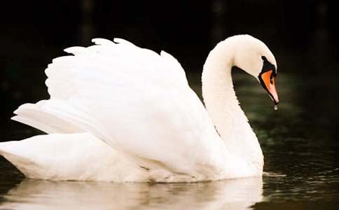 ���������Z������200�֣����x30ƪ��