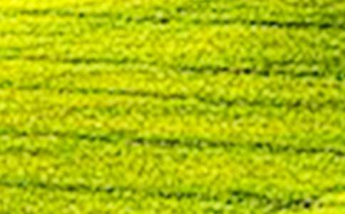 ��Ұ���x����800��