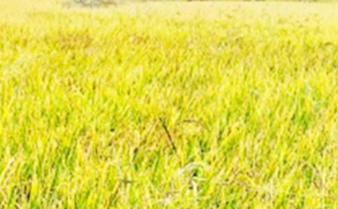 ��ҰȤ�����ļ���8ƪ