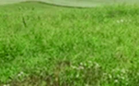 ����Ұ������(���x14ƪ)