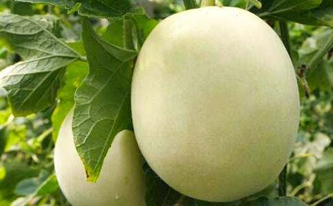 �y������Ͼ��꼉����