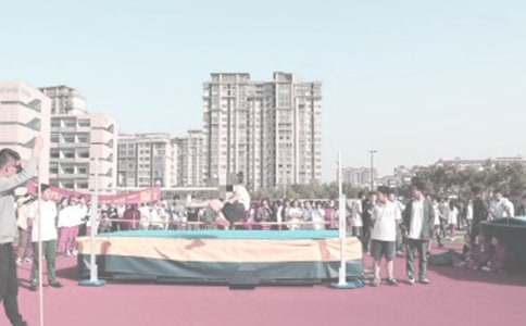 龜兔跳高小學作文