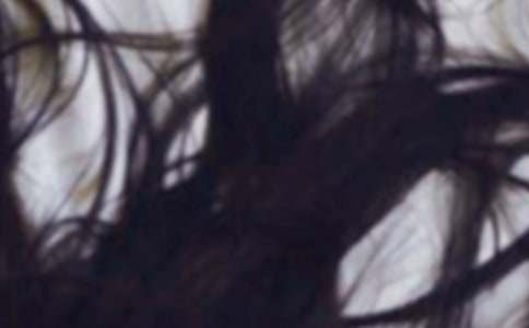 �ϰֵ��^�l����500��