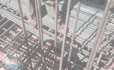 ���T��ľ���̌������