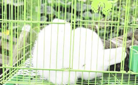 С���ӵ��^������