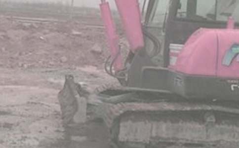 挖掘機轉讓協議書范本