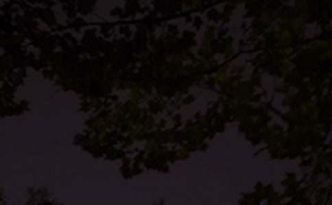 �ഺ��־�����Z䛣����x280�䣩