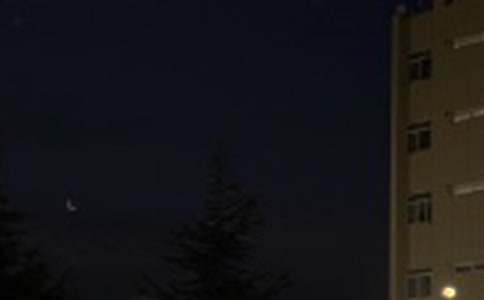 2021�������������Z�����Ȧ43��