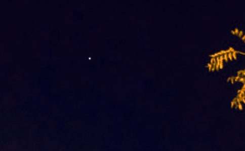 ���������Z