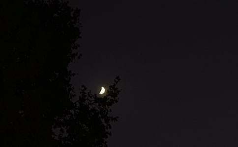 有關溫暖的晚安微信問候語25條