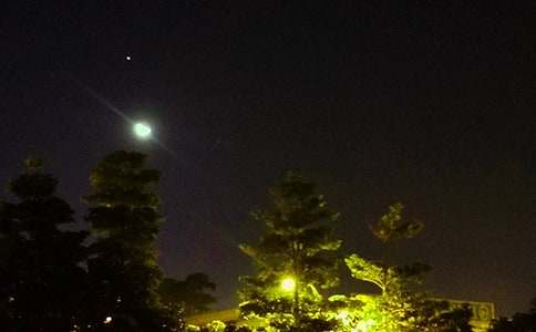 �o���ѵ�����ף���Z600��