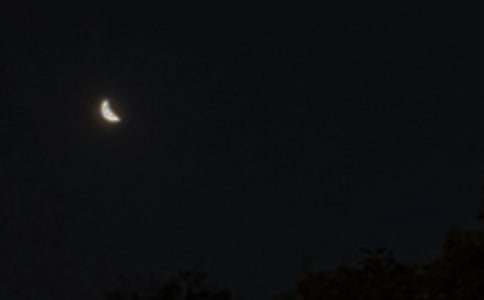 晚安我的星星童話作文